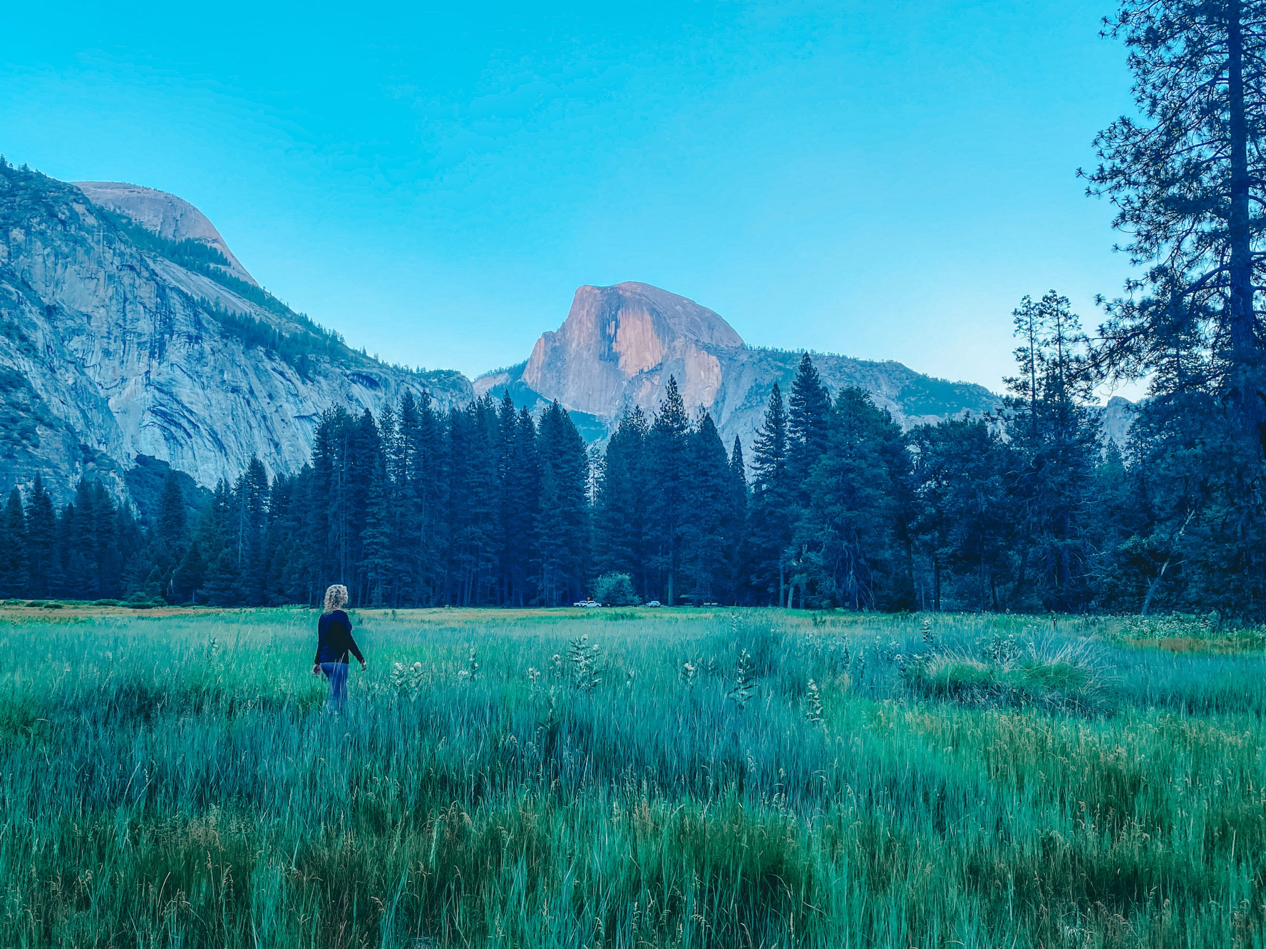 The Best 2 Day Yosemite Itinerary - Our Beautahful World