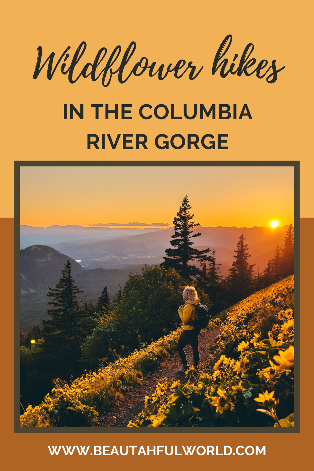 best wildflower hikes in the columbia river gorge - Our Beautahful World