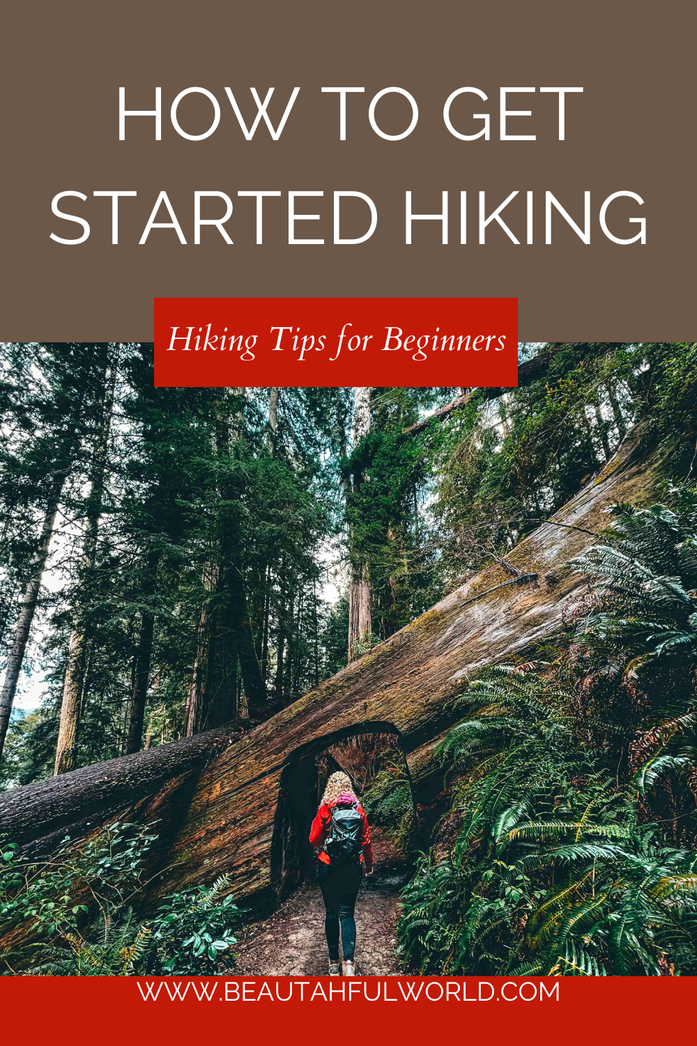 Hiking Tips For Beginners: Everything You Need To Know To Get Started ...